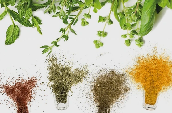 Plant Extract
